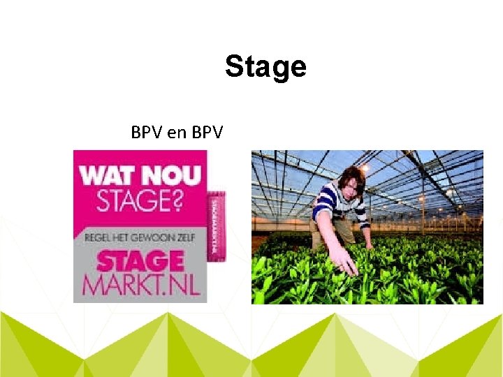 Stage BPV en BPV 