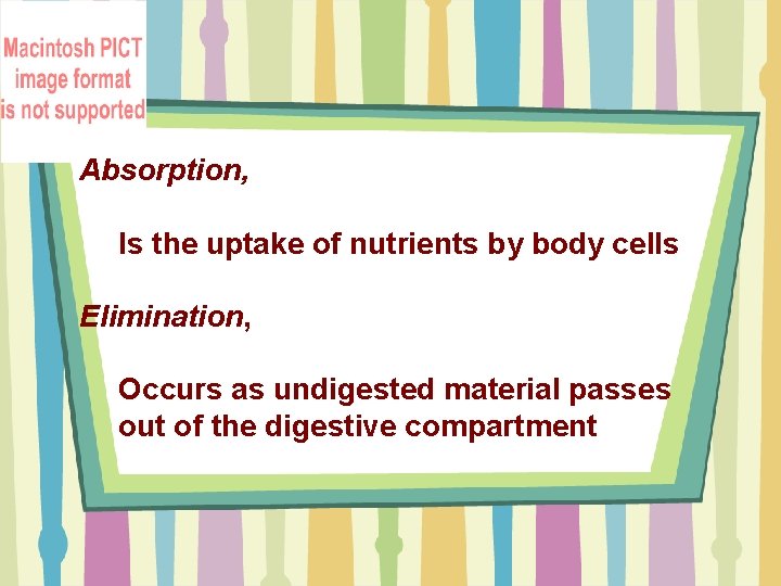 Absorption, Is the uptake of nutrients by body cells Elimination, Occurs as undigested material