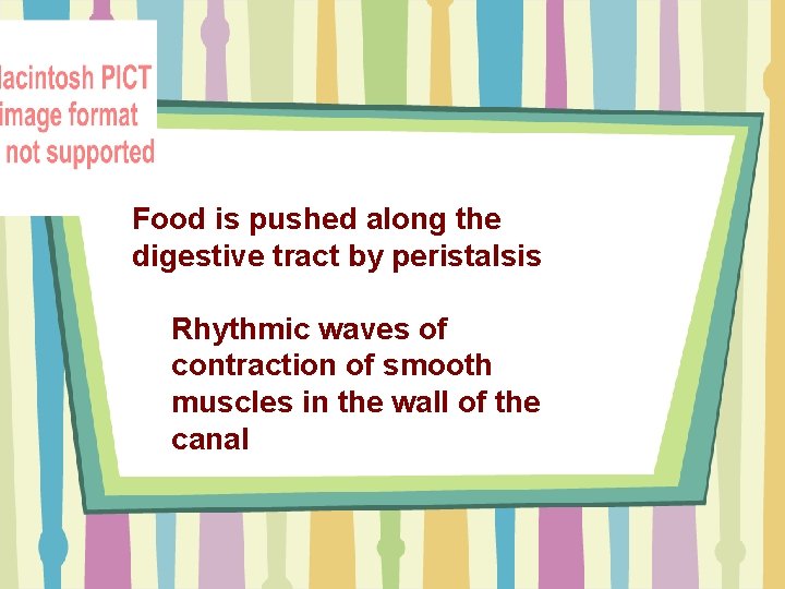 Food is pushed along the digestive tract by peristalsis Rhythmic waves of contraction of