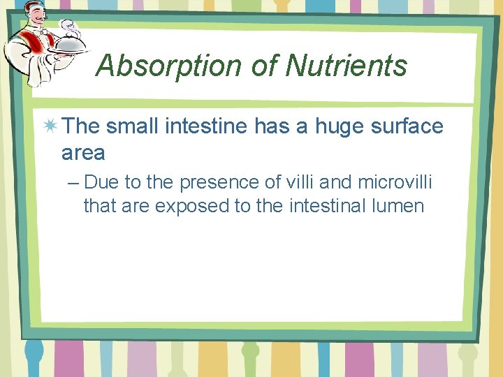 Absorption of Nutrients The small intestine has a huge surface area – Due to