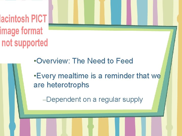  • Overview: The Need to Feed • Every mealtime is a reminder that