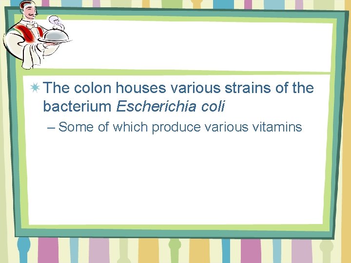 The colon houses various strains of the bacterium Escherichia coli – Some of which