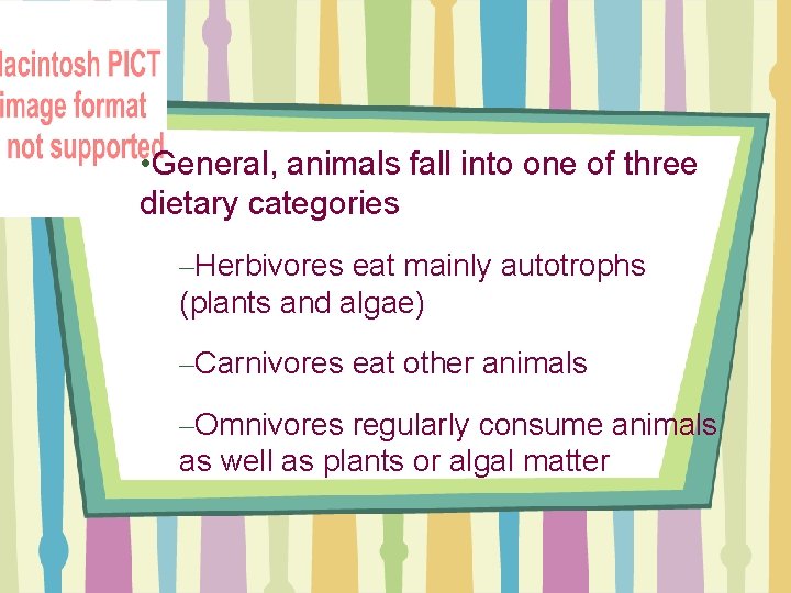  • General, animals fall into one of three dietary categories –Herbivores eat mainly