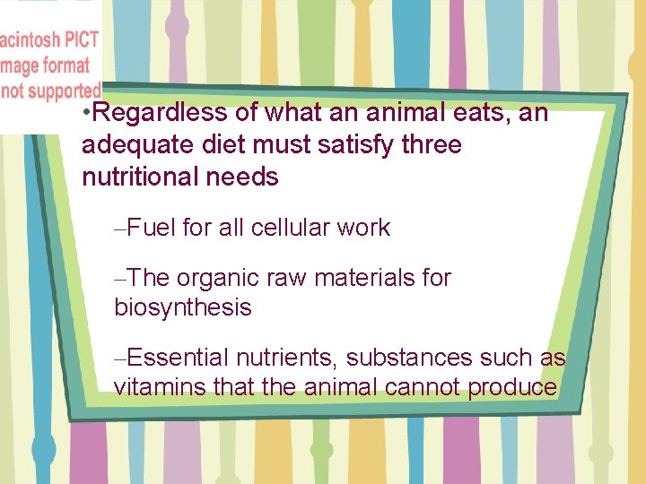  • Regardless of what an animal eats, an adequate diet must satisfy three