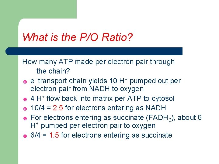What is the P/O Ratio? How many ATP made per electron pair through the