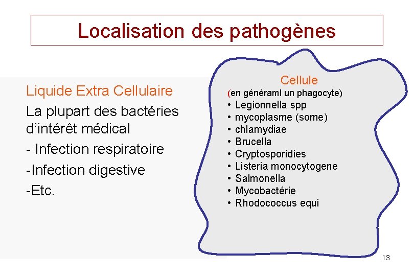 Localisation des pathogènes Liquide Extra Cellulaire La plupart des bactéries d’intérêt médical - Infection