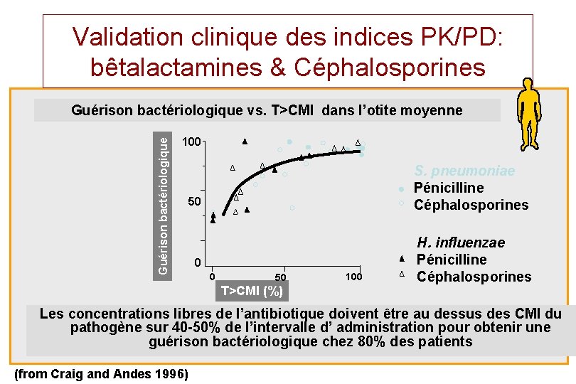 Validation clinique des indices PK/PD: bêtalactamines & Céphalosporines Guérison bactériologique vs. T>CMI dans l’otite