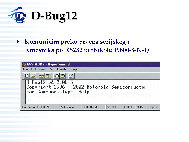 D-Bug 12 • Komunicira preko prvega serijskega vmesnika po RS 232 protokolu (9600 -8