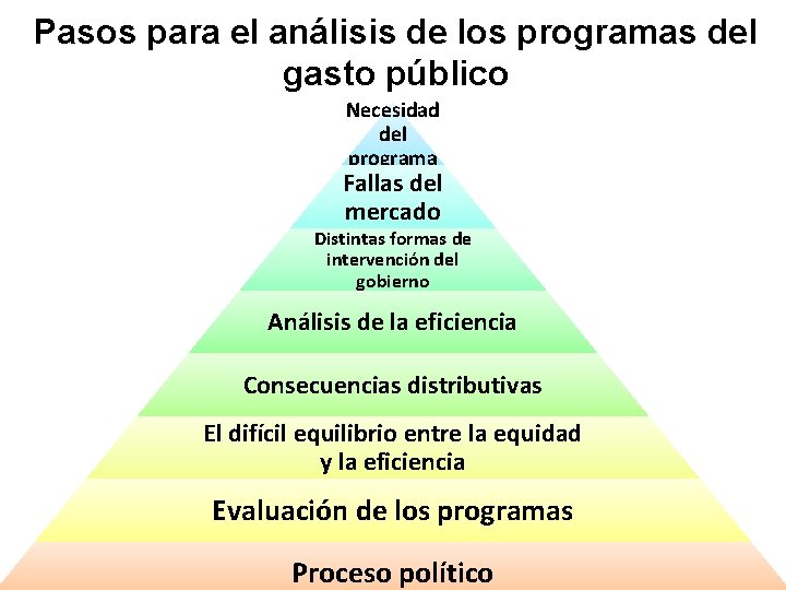 Pasos para el análisis de los programas del gasto público Necesidad del programa Fallas