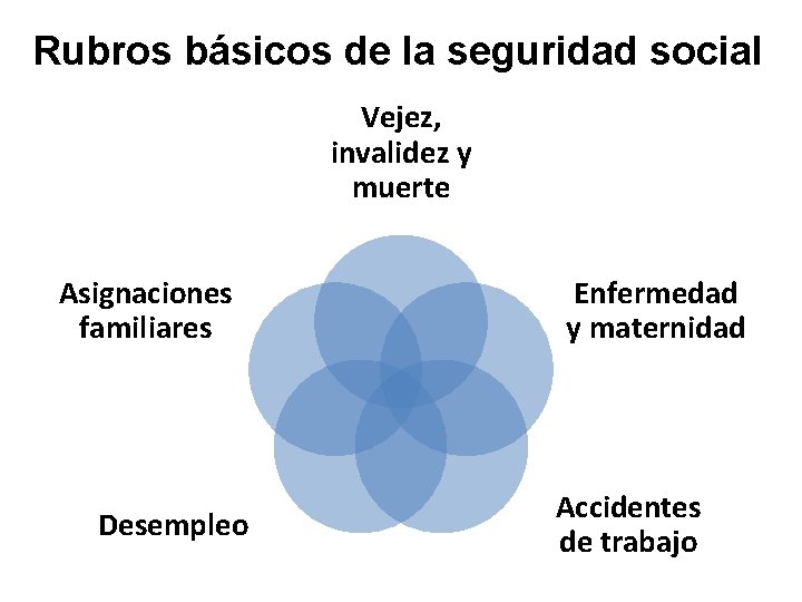 Rubros básicos de la seguridad social Vejez, invalidez y muerte Asignaciones familiares Desempleo Enfermedad