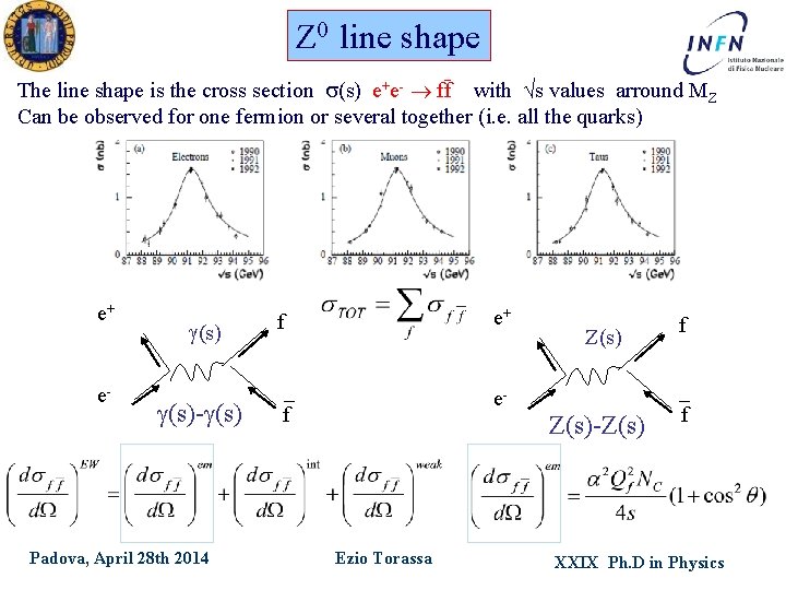 Z 0 line shape _ The line shape is the cross section s(s) ff