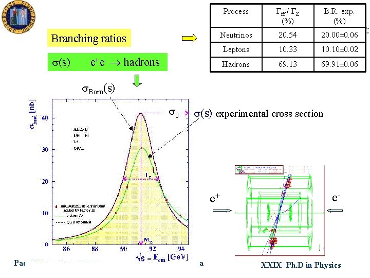 Branching ratios s(s) e+e- hadrons Process ff / Z (%) B. R. exp. (%)