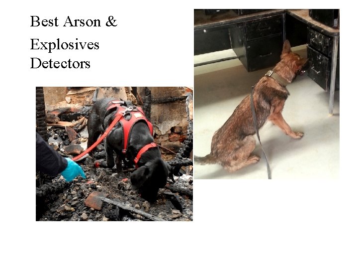 Best Arson & Explosives Detectors Best Arson & Explosives Detectors