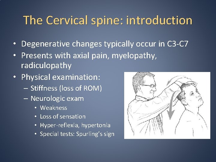 The Cervical spine: introduction • Degenerative changes typically occur in C 3 -C 7