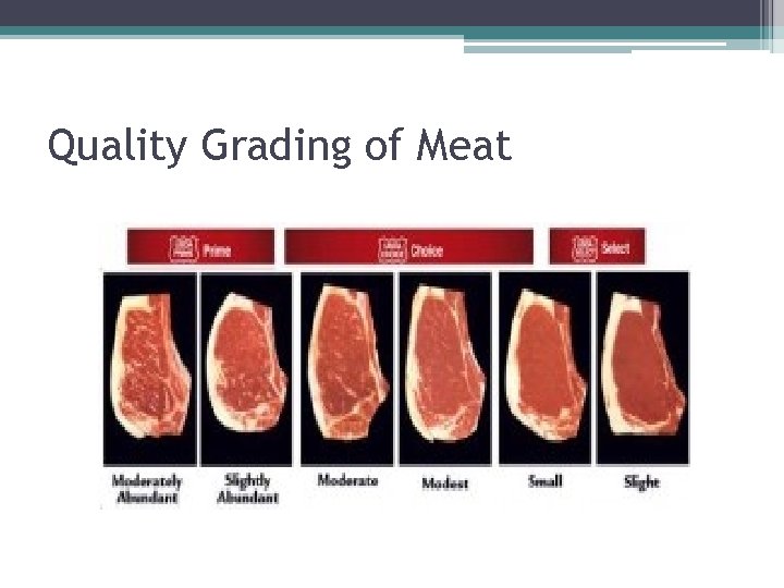 Quality Grading of Meat 