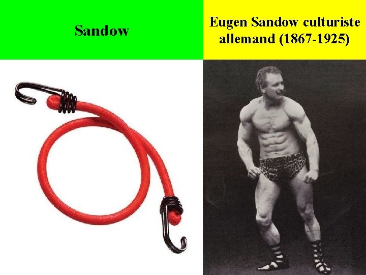 Sandow Eugen Sandow culturiste allemand (1867 -1925) 