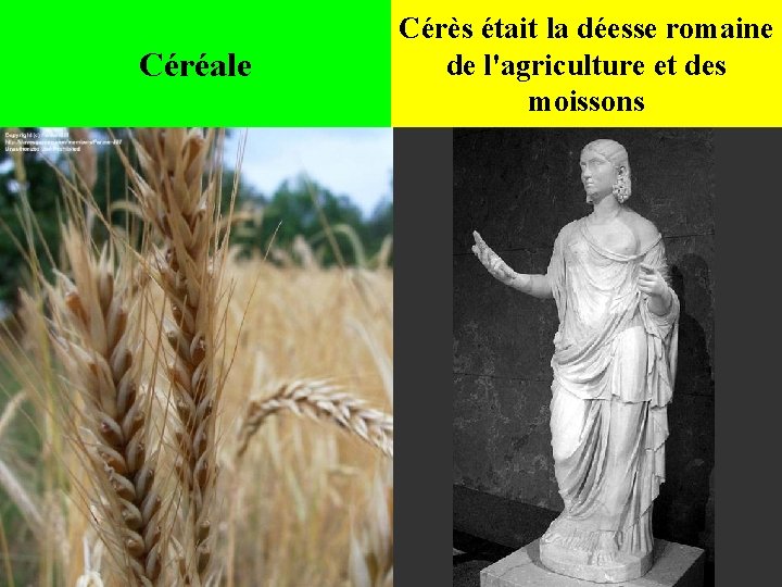 Céréale Cérès était la déesse romaine de l'agriculture et des moissons 