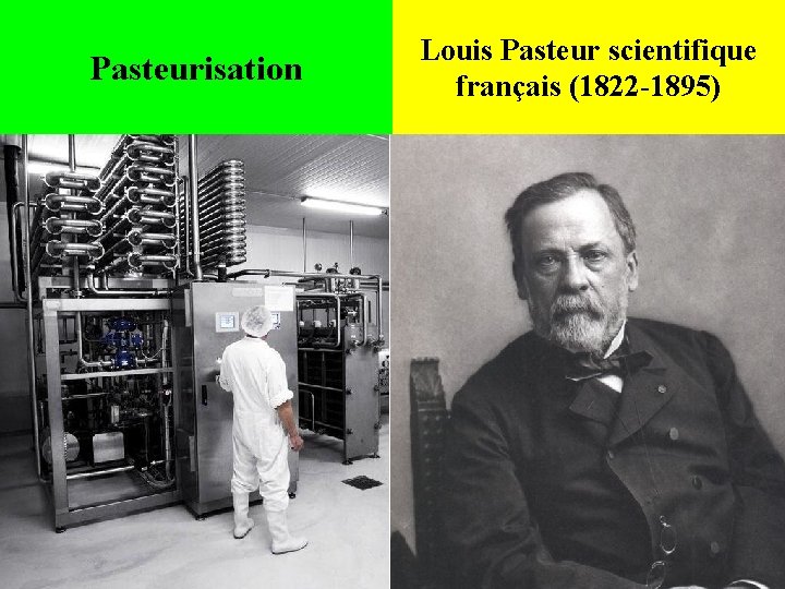 Pasteurisation Louis Pasteur scientifique français (1822 -1895) 