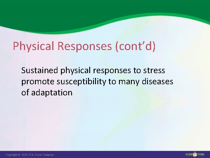 Physical Responses (cont’d) Sustained physical responses to stress promote susceptibility to many diseases of