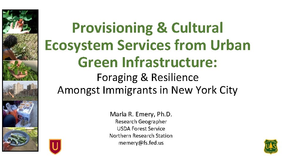 Provisioning & Cultural Ecosystem Services from Urban Green Infrastructure: Foraging & Resilience Amongst Immigrants