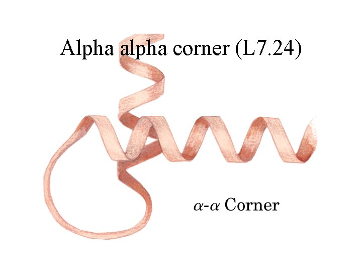 Alpha alpha corner (L 7. 24) 