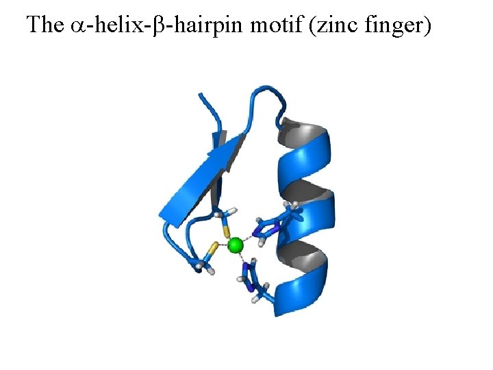 The a-helix-b-hairpin motif (zinc finger) 