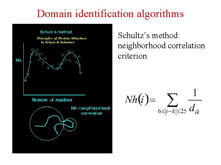 Domain identification algorithms Schultz’s method: neighborhood correlation criterion 