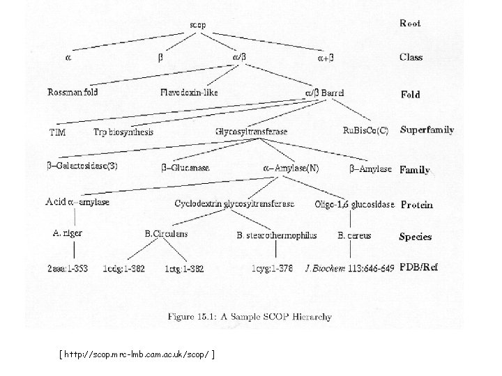 [ http: //scop. mrc-lmb. cam. ac. uk/scop/ ] 
