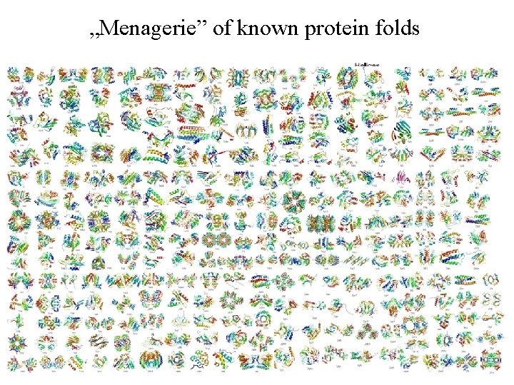 „Menagerie” of known protein folds 