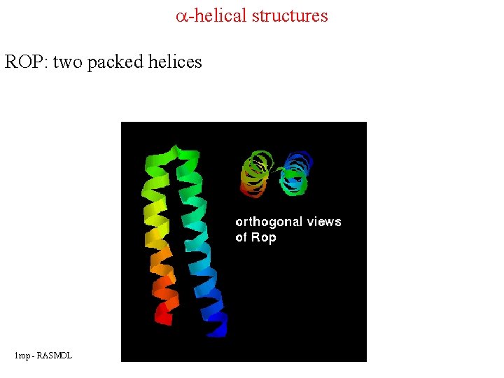a-helical structures ROP: two packed helices 1 rop - RASMOL 