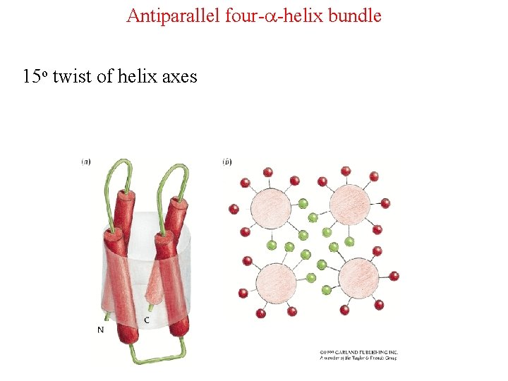 Antiparallel four-a-helix bundle 15 o twist of helix axes 