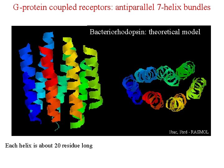 G-protein coupled receptors: antiparallel 7 -helix bundles Bakteriorodopsyna – model teoretyczny Bacteriorhodopsin: theoretical model