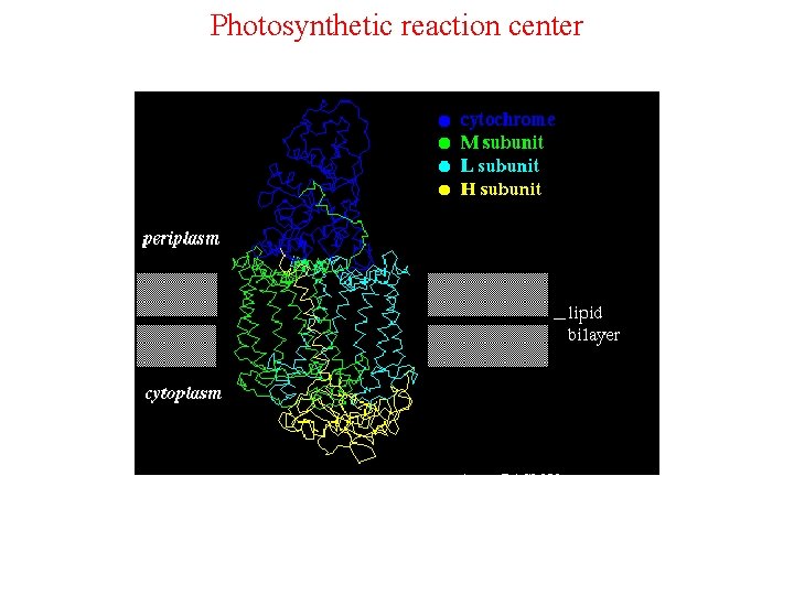 Photosynthetic reaction center Bakteriorodopsyna – model teoretyczny 1 prc - RASMOL 1 bac, 1