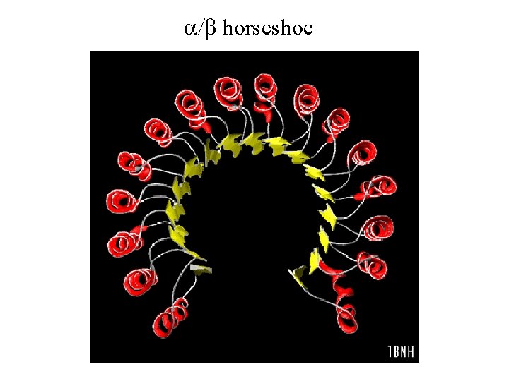 a/b horseshoe 
