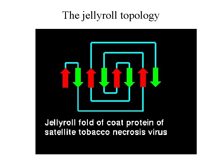 The jellyroll topology 