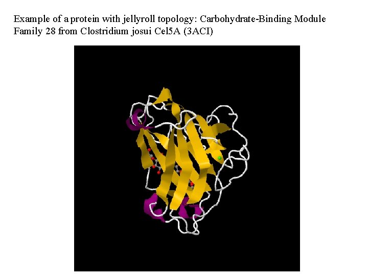 Example of a protein with jellyroll topology: Carbohydrate-Binding Module Family 28 from Clostridium josui