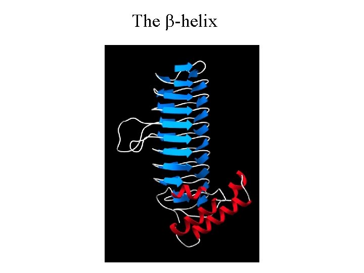 The b-helix 