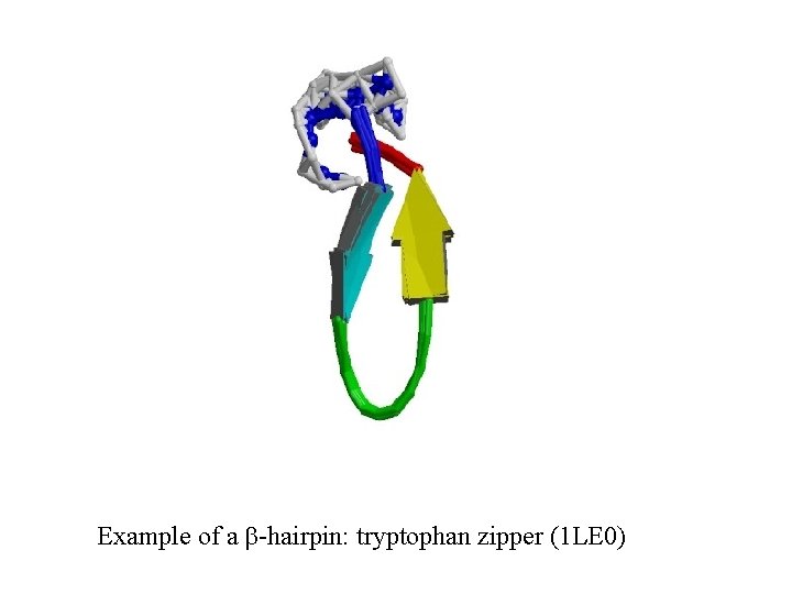 Example of a b-hairpin: tryptophan zipper (1 LE 0) 