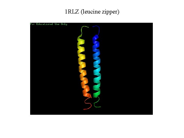 1 RLZ (leucine zipper) 
