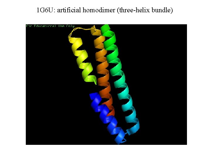 1 G 6 U: artificial homodimer (three-helix bundle) 