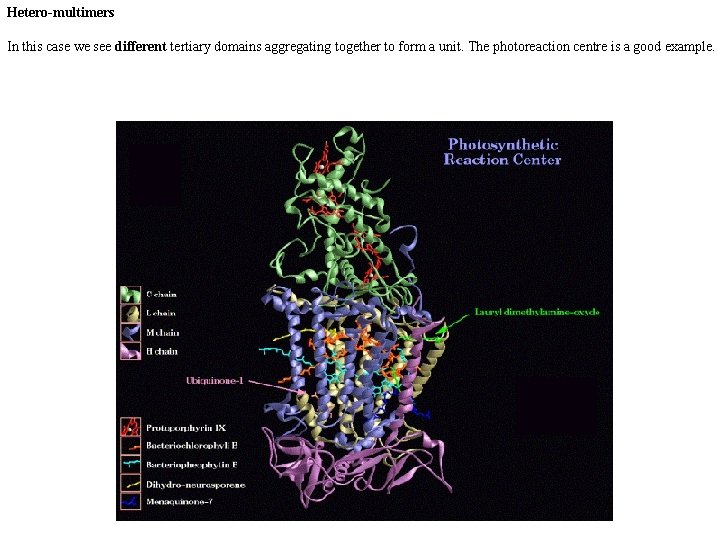Hetero-multimers In this case we see different tertiary domains aggregating together to form a