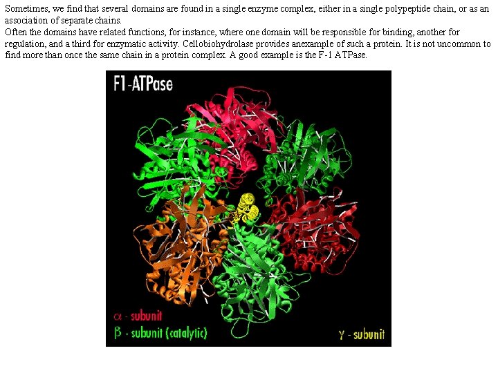 Sometimes, we find that several domains are found in a single enzyme complex, either