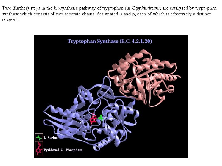 Two (further) steps in the biosynthetic pathway of tryptophan (in S. typhimirium) are catalysed