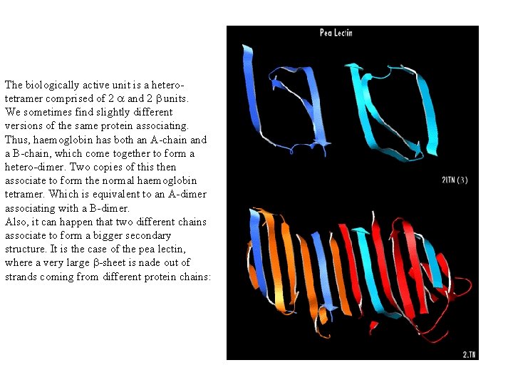 The biologically active unit is a heterotetramer comprised of 2 a and 2 b