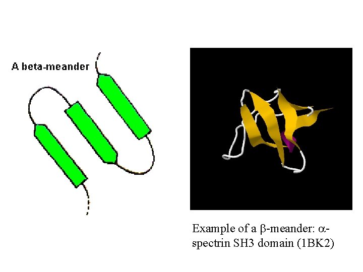 Example of a b-meander: aspectrin SH 3 domain (1 BK 2) 