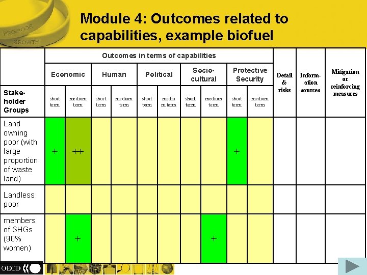 Module 4: Outcomes related to capabilities, example biofuel Outcomes in terms of capabilities Economic