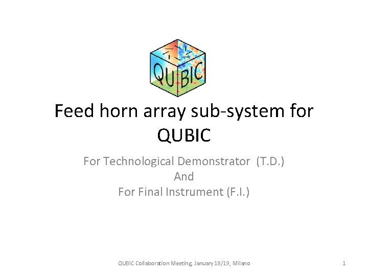 Feed horn array sub-system for QUBIC For Technological Demonstrator (T. D. ) And For