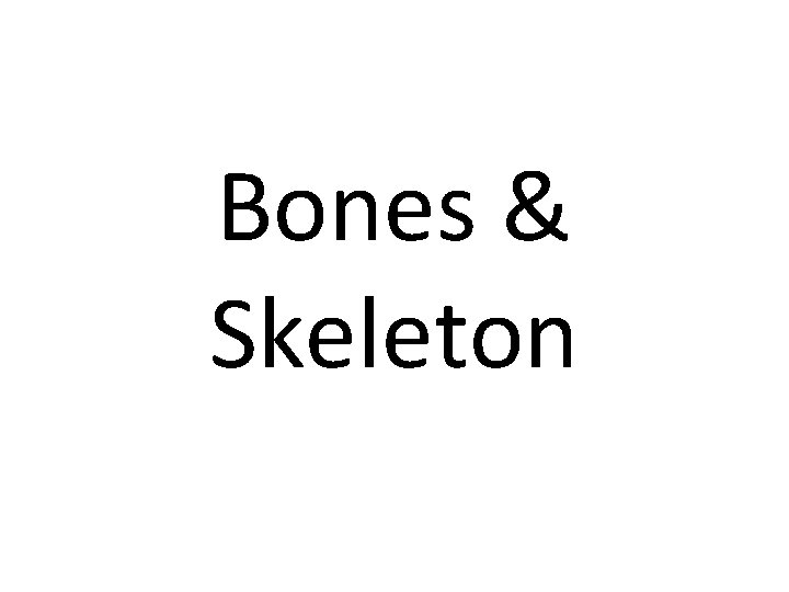 Bones & Skeleton 