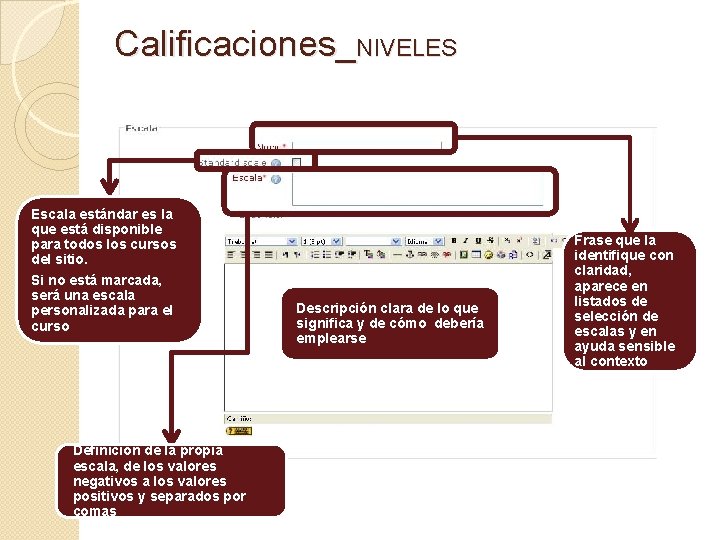 Calificaciones_NIVELES Escala estándar es la que está disponible para todos los cursos del sitio.