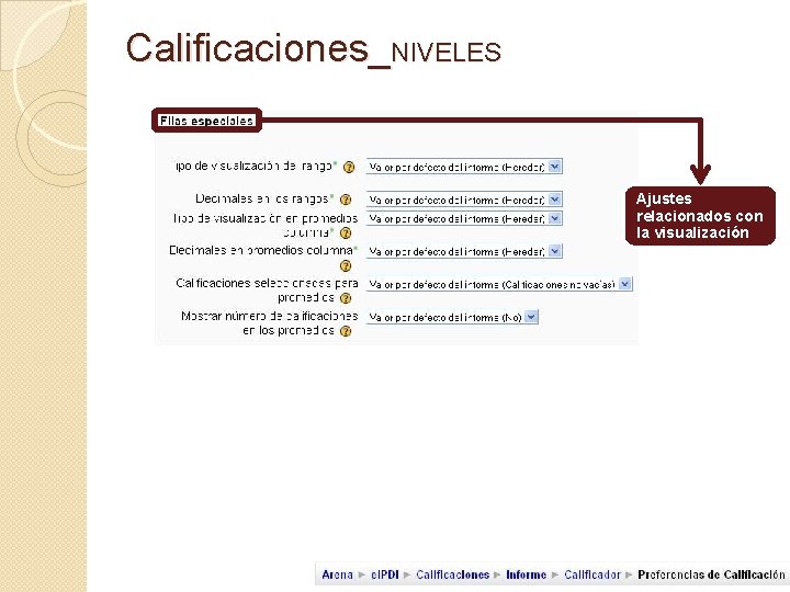 Calificaciones_NIVELES Ajustes relacionados con la visualización 